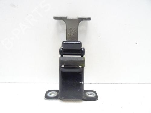 Hinge/Door check strap RENAULT KANGOO Express (FW0/1_) 1.5 dCi 85 (FW0K, FW0L, FW0B) | BP20042992C146 