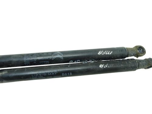 tailgate-lift-support-citroen-c3-iii-sx-2016-34257929 main image