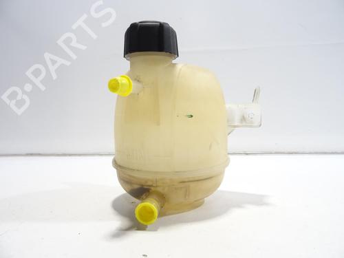 expansion-tank-dacia-duster-hs_-2010-2011-2012-2013-2014-2015-2016-2017-2018-28360827 main image