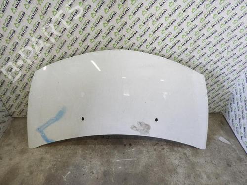 Used Hood RENAULT CLIO III (BR0/1, CR0/1) 1.2 16V (BR02, BR0J, BR11, CR02, CR0J, CR11) (75 hp) 20048450
