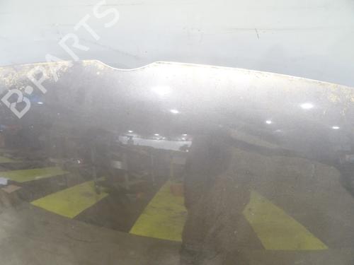 Hood VW GOLF V (1K1) 1.9 TDI | BP29124345C1 