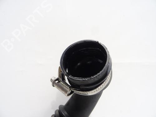 Pipe RENAULT CLIO III (BR0/1, CR0/1) 1.5 dCi (BR17, CR17) | BP29405324M125 