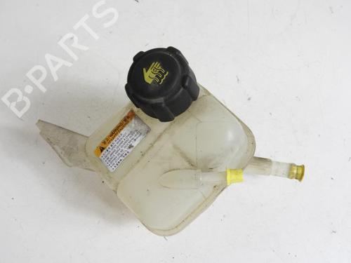 Used Expansion tank RENAULT KOLEOS I (HY_) 2.0 dCi (HY0K) (150 hp) 20056950