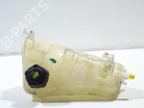 Used Expansion tank RENAULT KANGOO / GRAND KANGOO II (KW0/1_) 1.5 dCi 85 (KW0K, KW0L, KW0B) (86 hp) 21095719