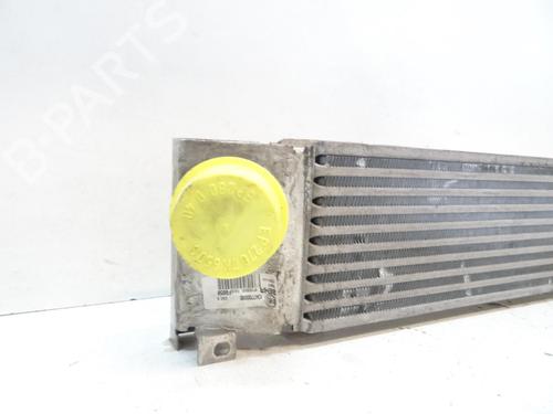 Intercooler CITROËN JUMPER II Van 2.2 HDi 110 | BP20040662M30 