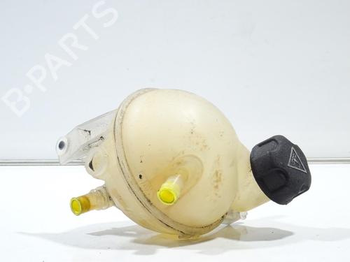 Used Expansion tank Expansion tank PEUGEOT RCZ 2.0 HDi (163 hp) 21825780 21825780