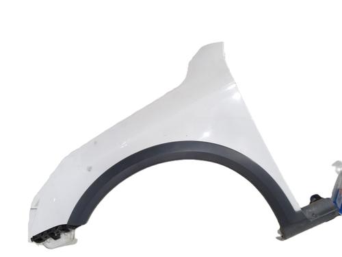 Used Left front fenders VW PASSAT B7 Variant (365) 2.0 TDI 4motion (140 hp) 32527820