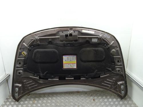 Hood FIAT TIPO Hatchback (356_, 357_) 1.6 D (356HXG11) | BP27711232C1