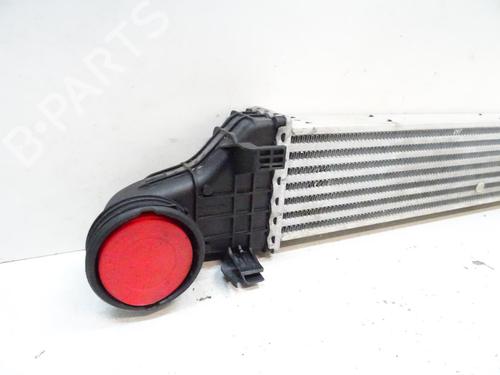 Intercooler MERCEDES-BENZ E-CLASS (W211) E 220 CDI (211.006) | BP20065193M30 
