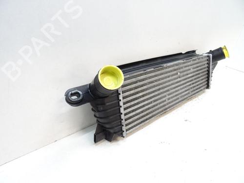 Used Intercooler Intercooler RENAULT KANGOO (KC0/1_) 1.9 dCi 4x4 (84 hp) 21969717 21969717