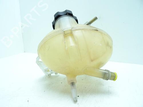 Expansion tank FIAT 500X (334_) 1.6 D Multijet (334AXA1B, 334AXA11) | BP29998262C120