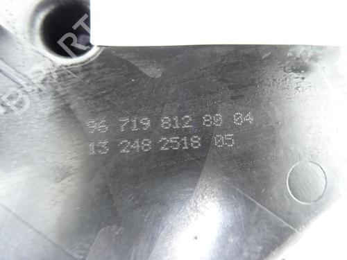 AdBlue tank PEUGEOT 3008 I MPV (0U_) 1.6 HDi | BP30081580M85 