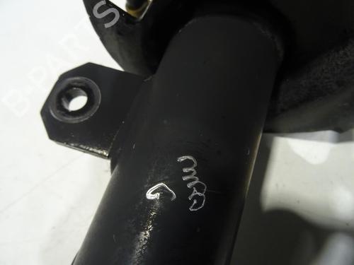 Left front shock absorber CITROËN C3 III (SX) 1.6 BlueHDi 100 | BP24864952M16 - Image 5