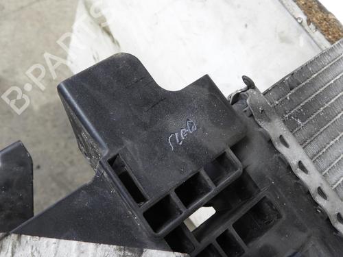 Køler OPEL MOVANO B Bus (X62)  | BP20040234M31 