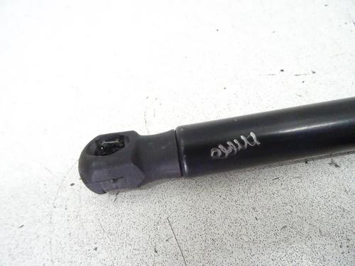 Hood lift support VOLVO C30 (533) D2 | BP21972190C139 