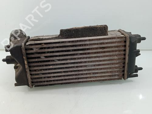 Intercooler FORD FIESTA VI Van  | BP29452881M30 
