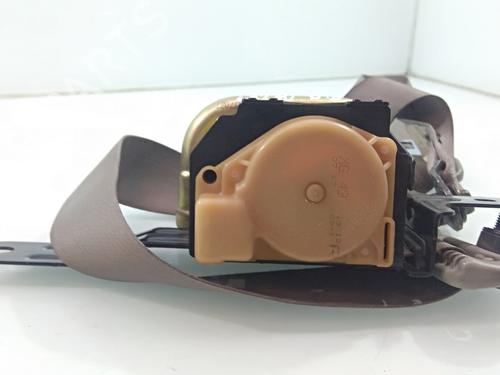 Front right seatbelt NISSAN X-TRAIL I (T30)  | BP18504862I25 