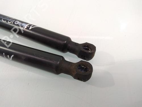Tailgate lift support RENAULT CLIO IV (BH_)  | BP14217197C138 