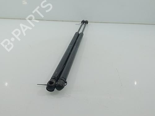 Tailgate lift support FORD FIESTA V (JH_, JD_)  | BP29561595C138 