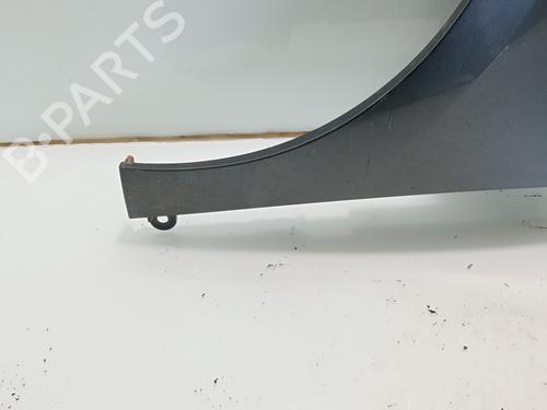 Left front fenders SMART FORFOUR Hatchback (453) 0.9 (453.044, 453.053) | BP29589905C41 