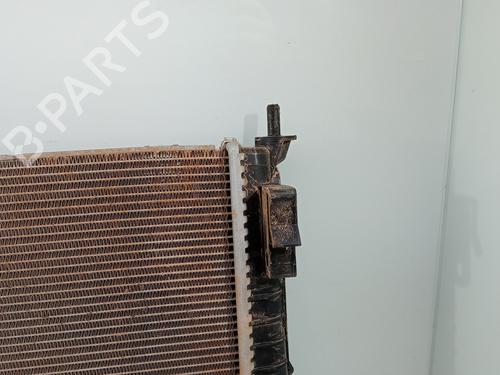 Water radiator PEUGEOT 3008 I MPV (0U_)  | BP29724591M31 