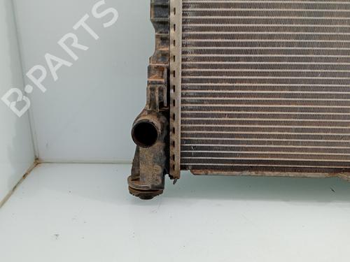 Water radiator MAN TGE Van  | BP29717310M31 