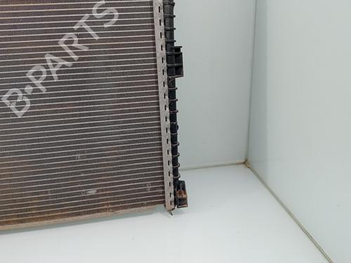 Water radiator MAN TGE Van  | BP29717309M31 