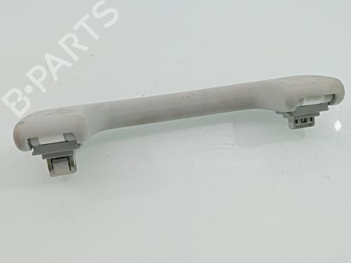 Interior roof handle AUDI E-TRON (GEN)  | BP29536722I35 