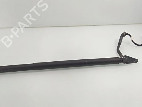 Gassdemper Bakluke VW TIGUAN (AD1, AX1) 2.0 TDI 4motion | BP23132579C138 