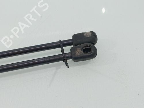 Tailgate lift support FORD FIESTA V (JH_, JD_)  | BP29561595C138 