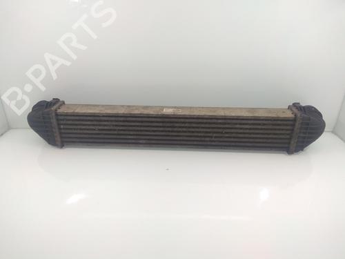 Intercooler MERCEDES-BENZ A-CLASS (W169) A 180 CDI (169.007, 169.307) | BP10147493M30 