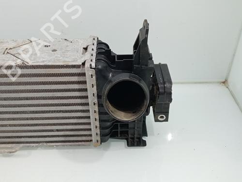 Intercooler BMW X4 (F26) xDrive 20 d | BP29395219M30 