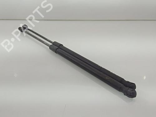 Tailgate lift support AUDI A3 (8P1)  | BP16580716C138 