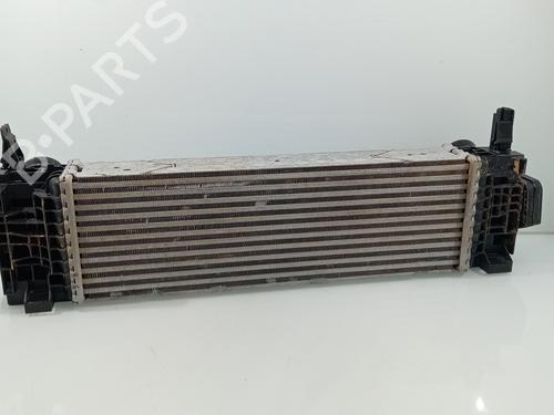 Intercooler BMW X4 (F26) xDrive 20 d | BP29395219M30 