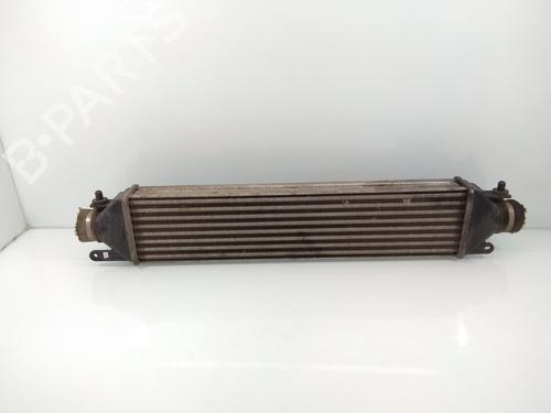 Ladeluftkühler für FIAT BRAVO II (198_) 1.9 D Multijet (198AXC1B) (150 hp) 10770149