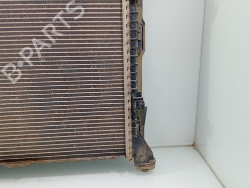 Water radiator MAN TGE Van  | BP29717310M31 