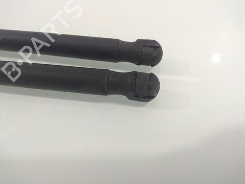 Tailgate lift support MERCEDES-BENZ A-CLASS (W169) A 180 CDI (169.007, 169.307) | BP14216654C138 
