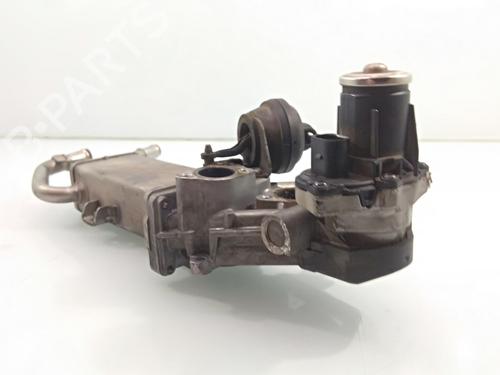 Egr SEAT IBIZA IV (6J5, 6P1)  | BP19515739M69 
