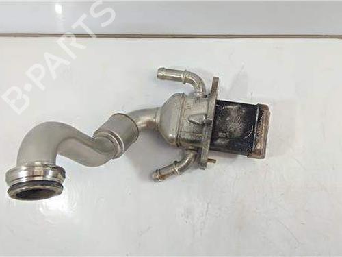 Egr Egr 38520385 38520385