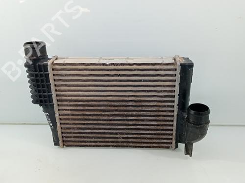 Intercooler Intercooler PEUGEOT EXPERT Van (V_) [2016-2026] 34355424 34355424