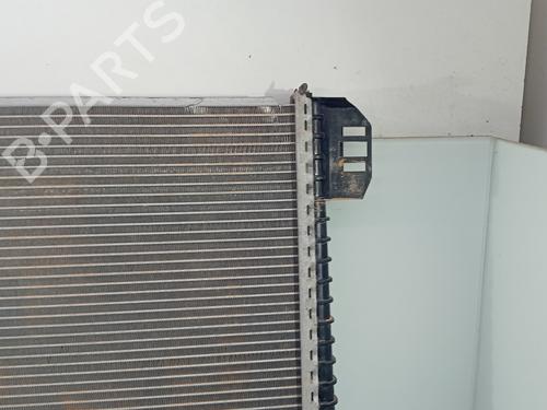 Water radiator MAN TGE Van  | BP29717309M31 