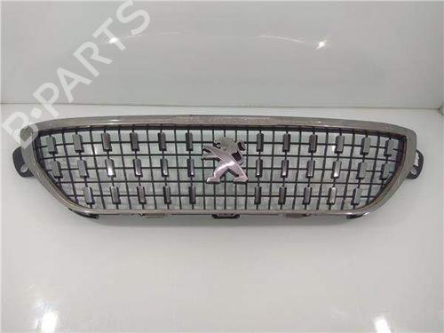 Used Grille Grille 39560097 39560097