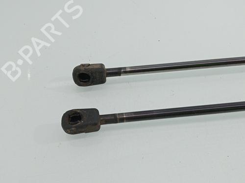 Tailgate lift support FORD S-MAX (WA6)  | BP28335480C138 