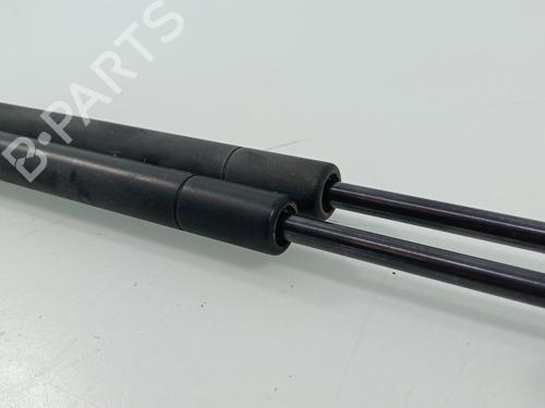 Tailgate lift support FORD FIESTA V (JH_, JD_)  | BP29561595C138 