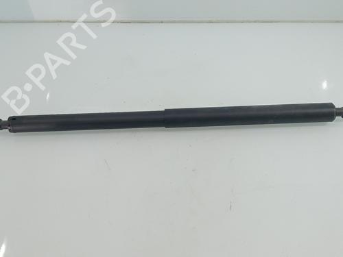 Achterklepdemper TESLA MODEL Y (5YJY) [2019-2025]  29194579