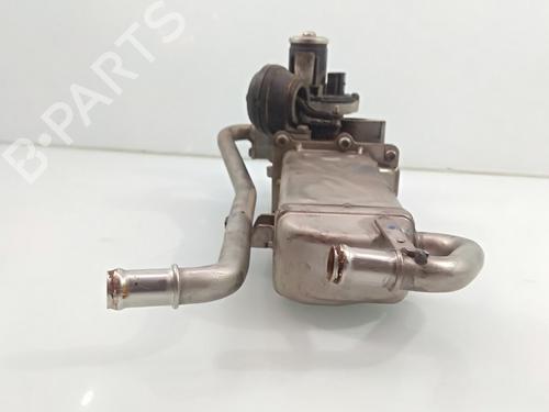 Egr SEAT IBIZA IV (6J5, 6P1)  | BP19515739M69 
