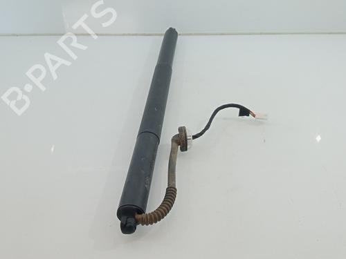 Tailgate lift support TESLA MODEL Y (5YJY)  | BP29194581C138 