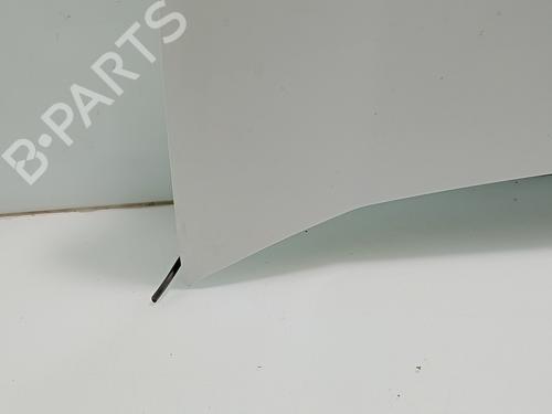 Hood FIAT DOBLO Cargo (263_)  | BP29548864C1 