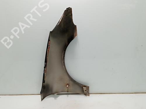Left front fenders PEUGEOT 206 Hatchback (2A/C) | BP30882572C41