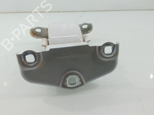Hinge/Door check strap RENAULT TRAFIC III Van (FG_)  | BP30279293C146 